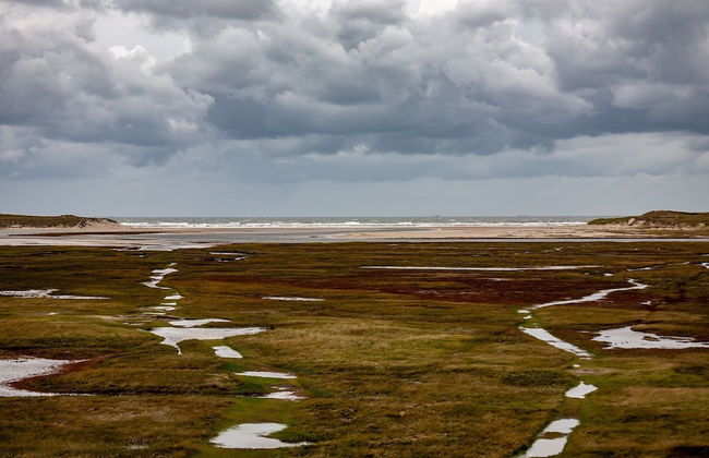 Holiday Home on Texel Island With Terrace - Foto 21