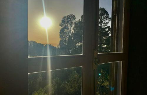 Tiny House Vogelnest - Foto 22