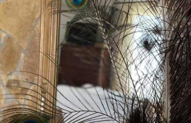 Villa Anasandra - 3 Bedroom Villa - Foto 27