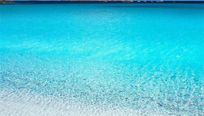 Olivastro Apartment Murta Maria - Foto 4