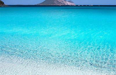 Olivastro Apartment Murta Maria - Foto 4