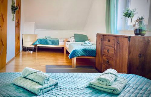 Polańczyk Dom, Apartamenty - Leśny Domek Polańczyk - Photo 9