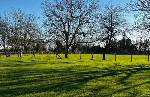 Gîte Le Ptit Poirier - Foto 15