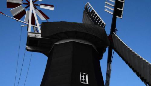 Ferienwohnung Berta 25508 - Foto 3