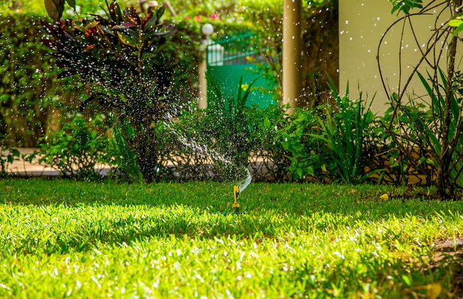 Villakwetu Cottages Diani Beach - Foto 35