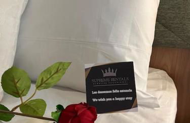 4 La Laguna, céntrico y acogedor - Foto 15