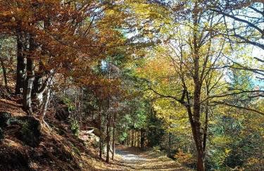 Apartament nad Potokiem - Foto 15