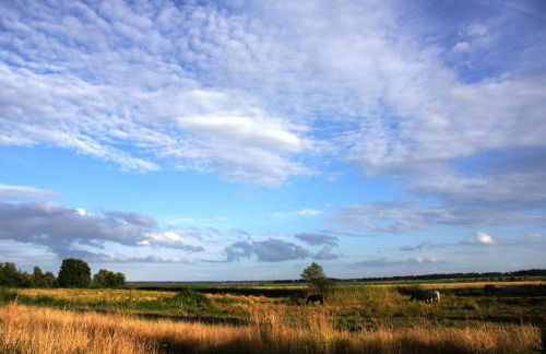 Am Kranichland - Foto 12