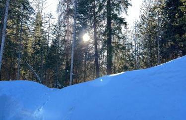 Little Bear Lodge - Foto 36