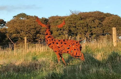FoxesDen, Unique Eco Cabin, Dartmoor views - Foto 37