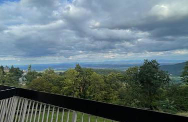 LE PANORAMA studio privé avec vue magnifique TURCKHEIM TROIS ÉPIS - Foto 10