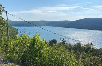 Villa Una Apartments - Photo 9