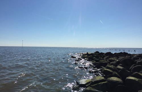 Ferienwohnung Suederbootfahrt - Ruheoase für Naturliebhaber in Katingsiel zwischen Tönning und St Peter Ording perfekt für Radtouren - Foto 36