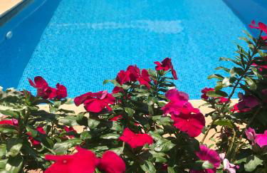 casa Guinza em uberlândia - Foto 8