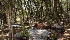 Chale Pedra do Sol - Foto 5