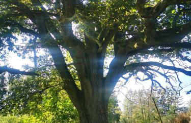 Kleiner Glücksort, Appartement - Foto 17