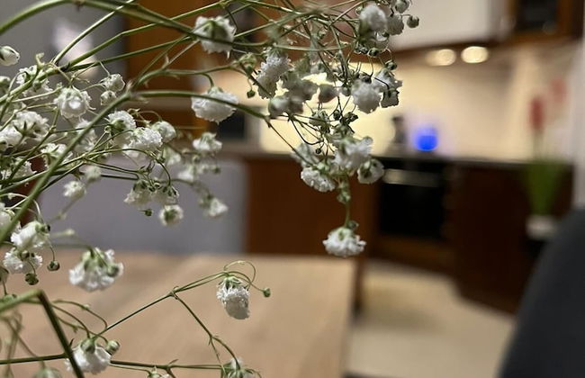 Holiday Home Noa - Foto 19