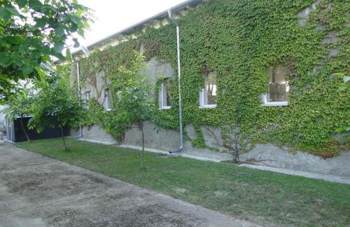 Ferienwohnung Sonnenaufgang im Ruppiner Land - Photo 24