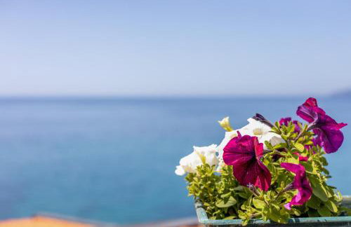 La Terrazza sul Mare - Photo 26