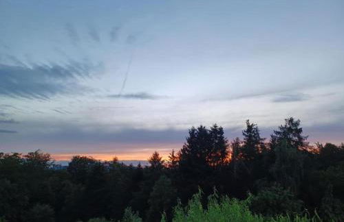 Wohnung in Leuderode beim Wildpark - Foto 30