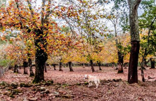 Casa rural Alicia - Foto 29