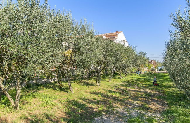 Apartments Irena - Foto 52