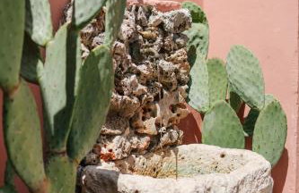 Koritos Countryhouse - Foto 2