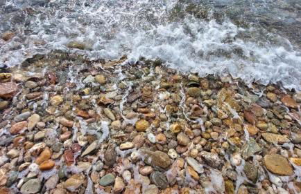 Azienda Agricola Club Le Cannelle - Foto 68