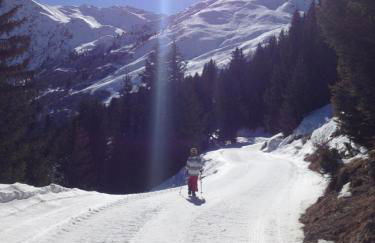 Chalet Miravidi, Montchavin-La Plagne, Jacuzzi & Sauna - Foto 61