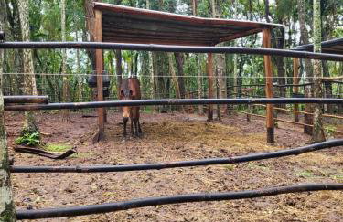 Exclusivo Haras Marilu! - Foto 51