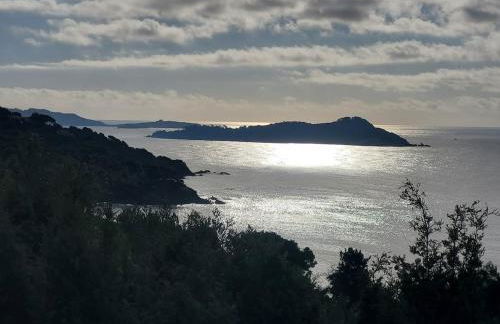 Joli T2 à Giens - Foto 30