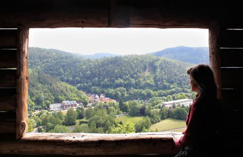 Pension 'Am Vogelherd' - Foto 24