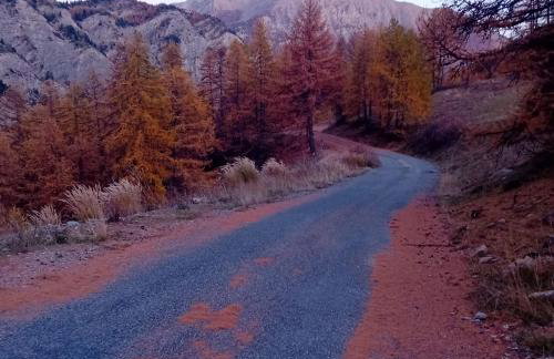 Petit chalet cosy a saint-Anne 04 - Foto 34