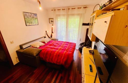 El refugio de la ardilla, apartamento Canfranc-estacion - Foto 30