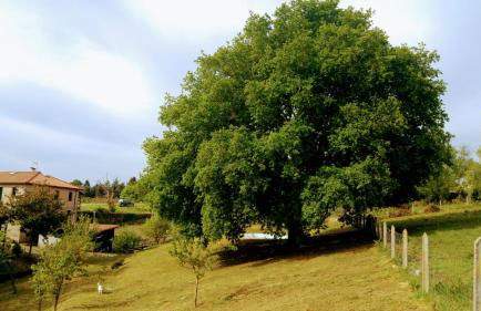 Caserio de Fontes - Foto 55