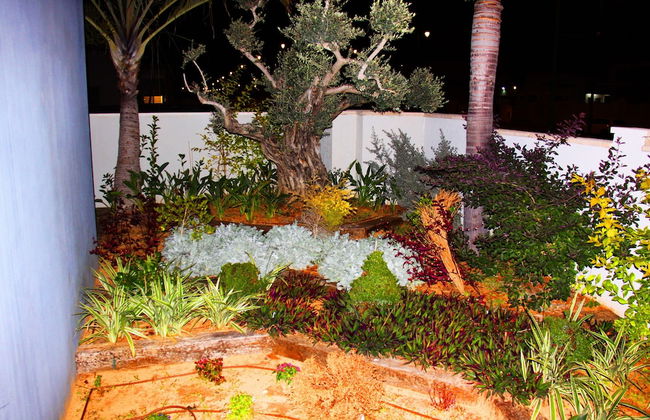 Vella Sul Mare - Foto 67