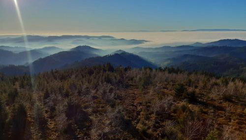 Ferienhof Giedensbach - Foto 5