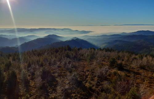 Ferienhof Giedensbach - Photo 5