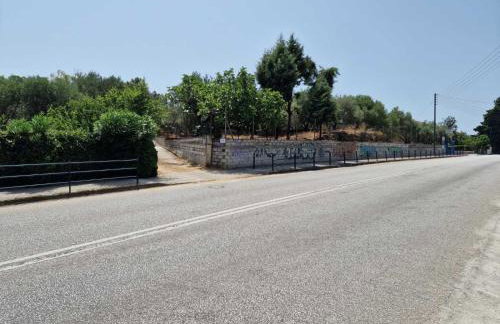 Stella's Garden - Foto 39