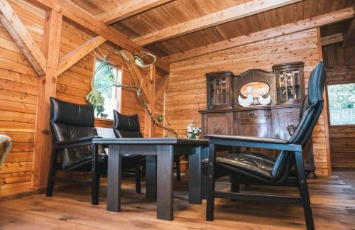 Agroturystyka Pod Modrzewiami - Foto 17