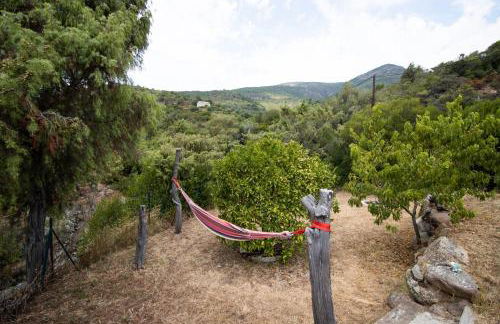 Au Pont De Tuarelli, Ludique, Fango - Foto 4