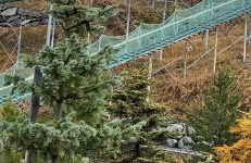 Appartement Les Menuires - 4 personnes à 20 m des pistes - Foto 25