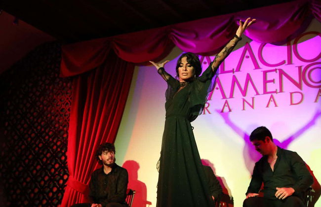 Spectacle de flamenco au Tablao Palacio Flamenco - Photo 8