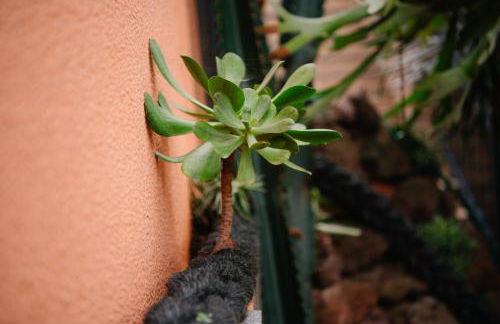 Casa do Remo - Foto 17