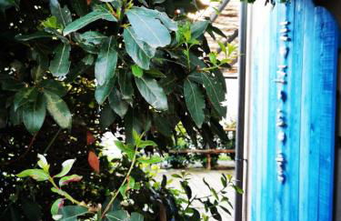 Podere Montecorno - Foto 64