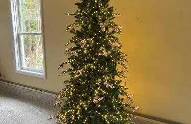 Sunset Pointe - Foto 40