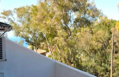 Malaga Cozy House- Nature - Photo 22