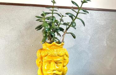 Yellow House - Foto 18