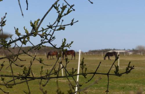 Captain Baack - Foto 28