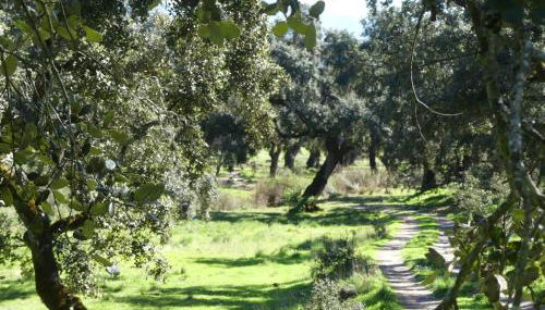 Agua de mayo - Foto 2